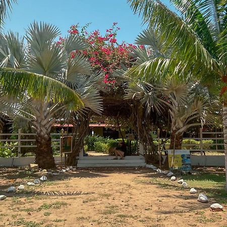 Coccoloba Beach Hostel Dibulla Exterior photo