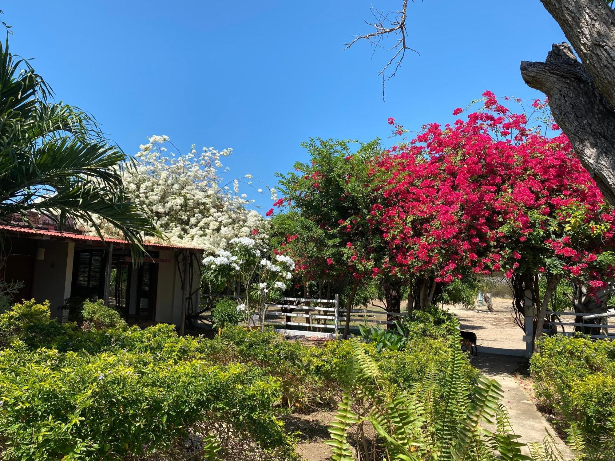 Coccoloba Beach Hostel Dibulla Exterior photo
